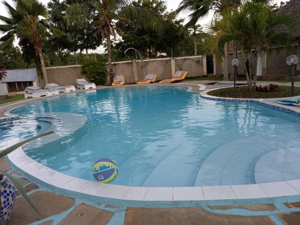 Pool & Jacuzzi